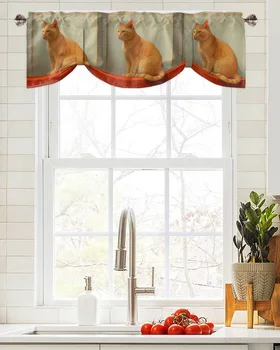 Ободранные котешки стена на Прозорец завеса Хол с Кухненски шкаф, Окачен балдахин Корниз Джобен балдахин