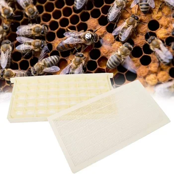 Рамка на Кошера За Съхранение на Кмета Рамка Клетки За Жени и За Отглеждане на Овце за Съхранение и транспортиране на Пчелите Qeen Инструмент за Пчеларството