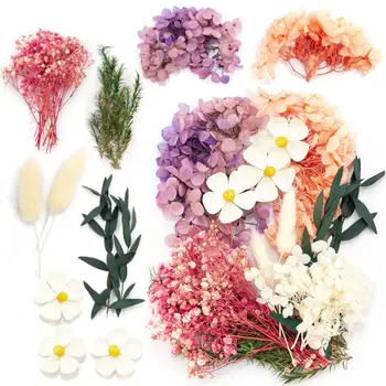 Цветни Естествени сухи цветя за Епоксидна Смола с Ръчно изработени Изделия DIY Мини Букет Венец Производство на Свещи Домашно Сватбена Украса