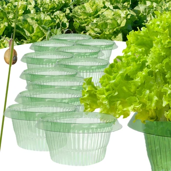 Градински зелени шапки Яка за защита на растенията от охлюви Множество покриване на разговора Многофункционални саксии за зеленчуци